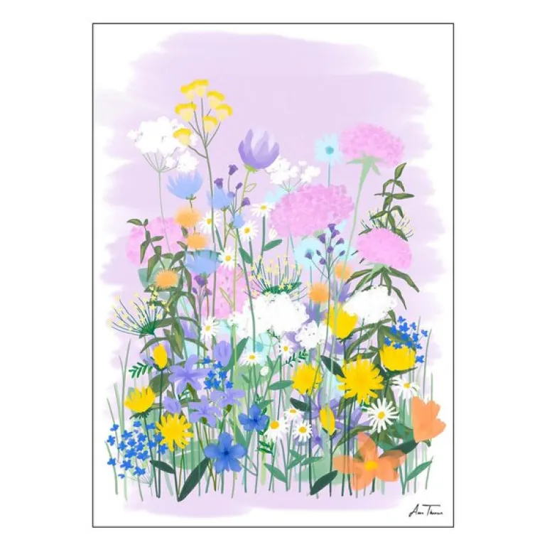 Anna Thomsen poster 50x70 cm field of flowers no2