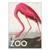 A.P. Atelier poster 30x40 cm the zoo collection pink flamingo edt. 002