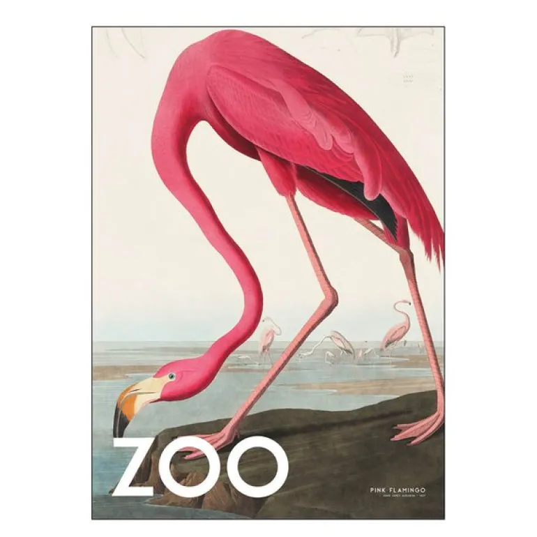 A.P. Atelier poster 30x40 cm the zoo collection pink flamingo edt. 002