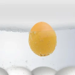 BeepEgg Time Travel eggtimer 50s