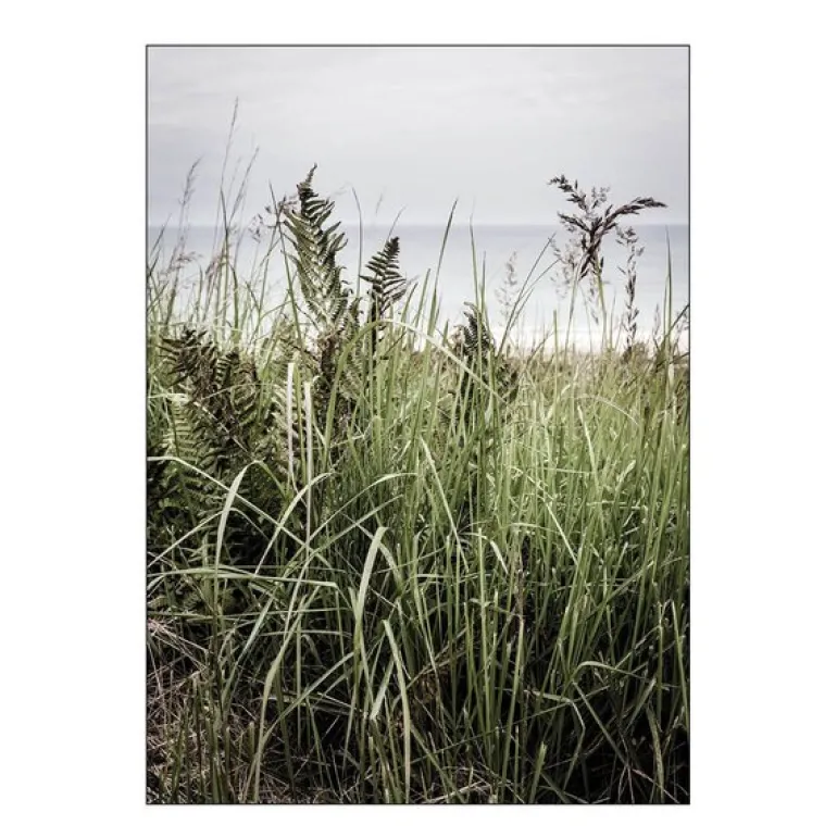 Foto Factory poster 30x40 cm svinkløv