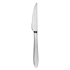 Gastro biffkniv 22 cm mirror polish