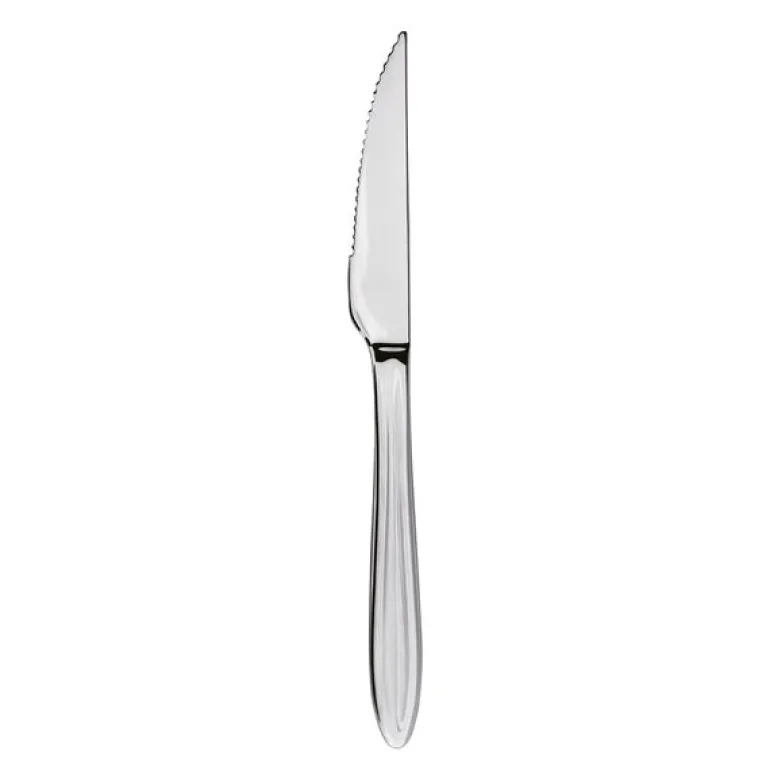 Gastro biffkniv 22 cm mirror polish