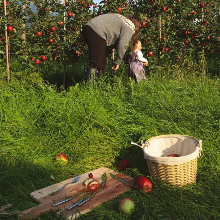 Hardanger fruktsett 12 deler