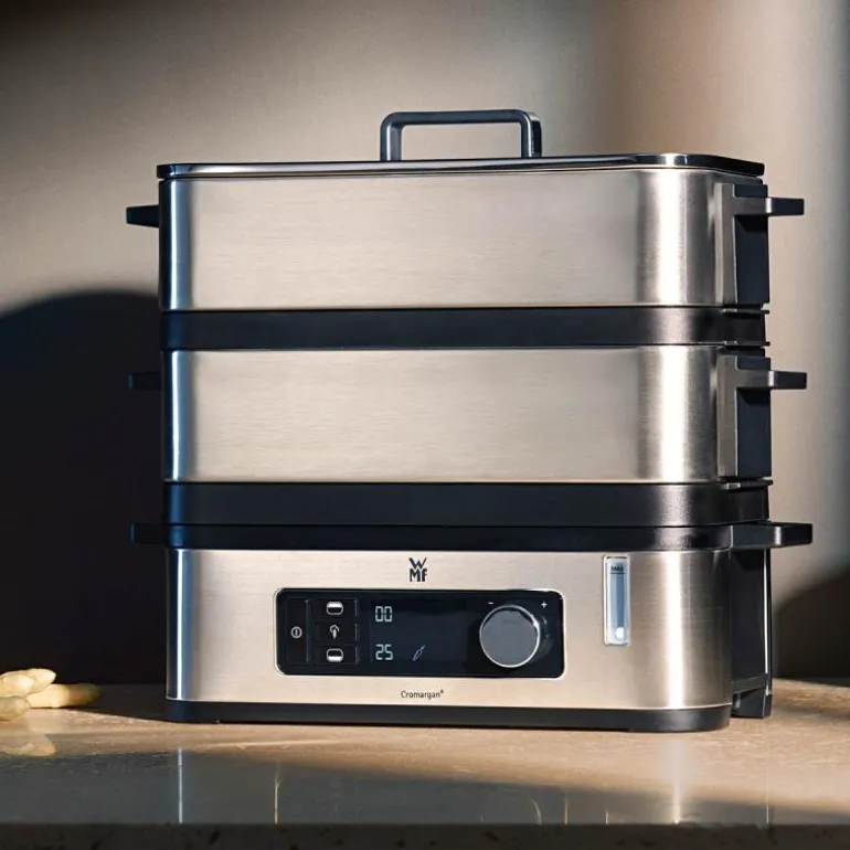Kimis steamer 900W