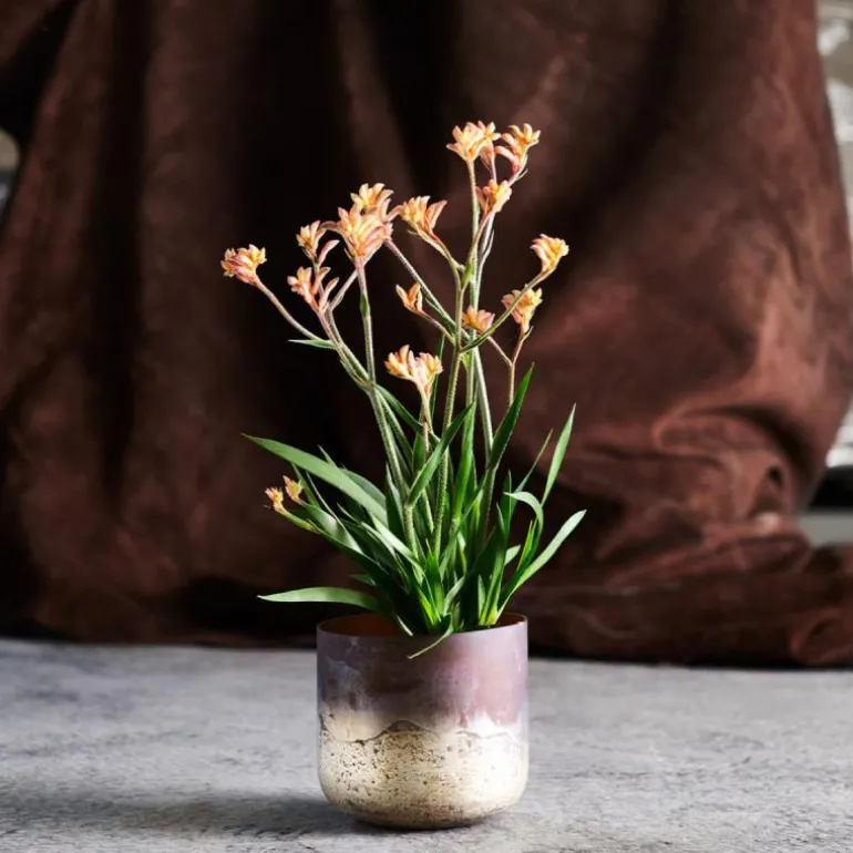 Lana vase 14 cm brun/gull