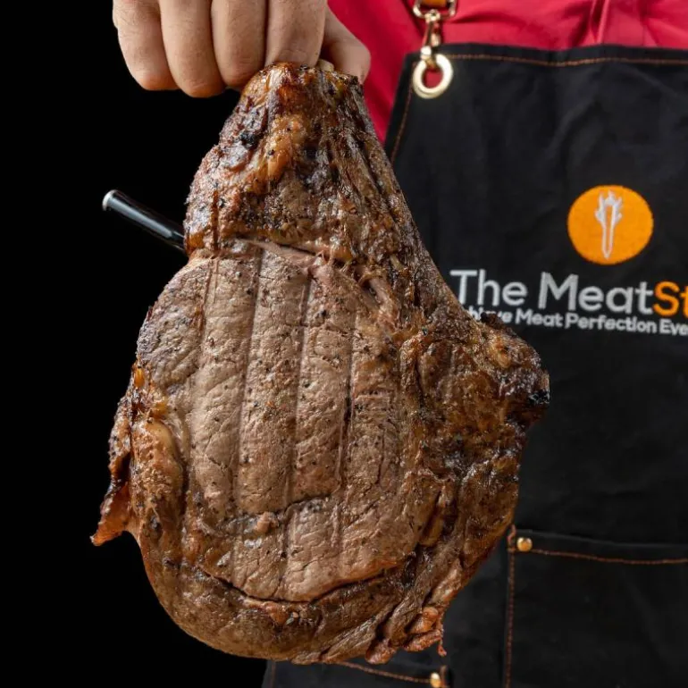 MeatStick 4 X trådløst steketermometer