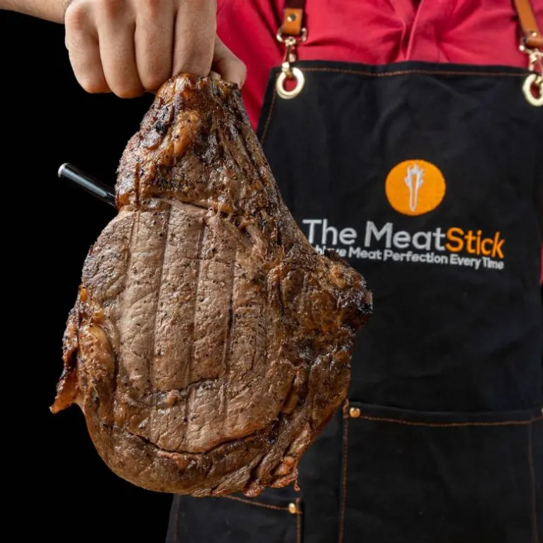 MeatStick Chef X trådløst steketermometer