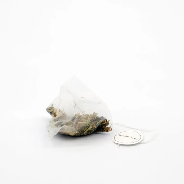 Organic herbal tea mint & lemongrass