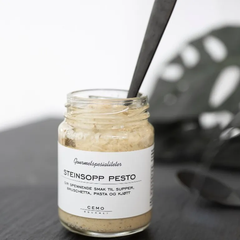 Pesto steinsopp