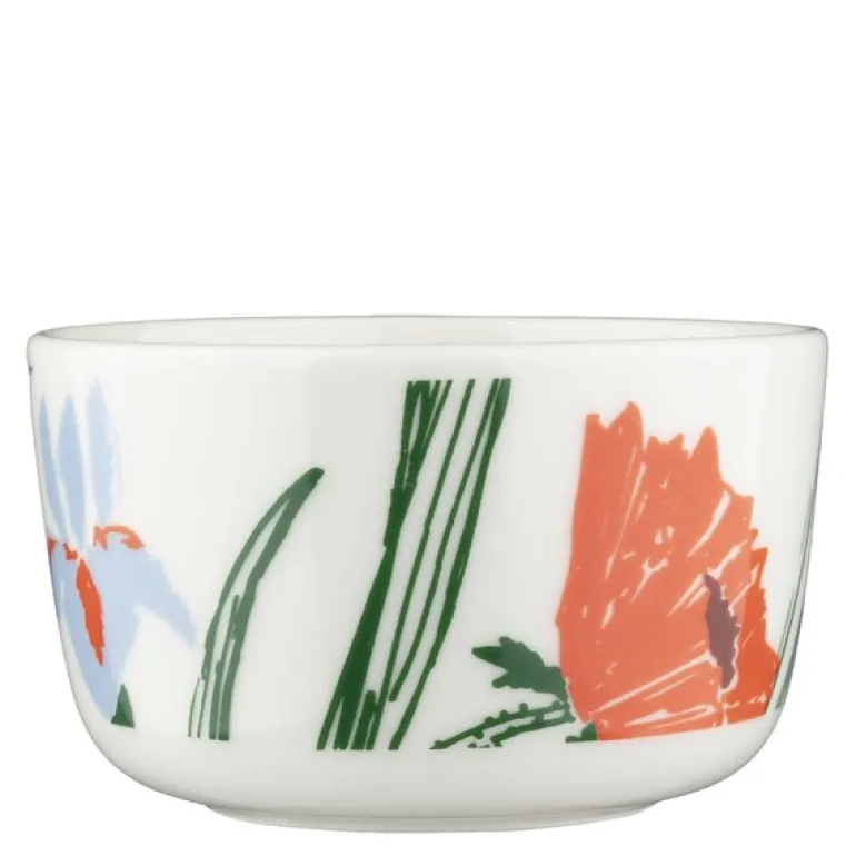 Puutarhakutsut bolle 25 cl hvit/grønn/oransje