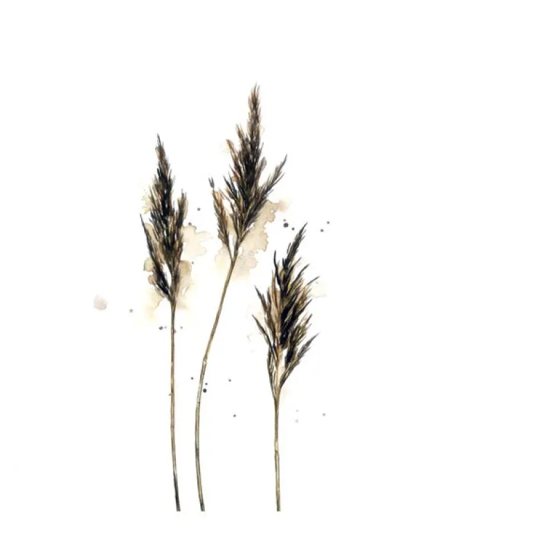 Servietter lunsj 16,5x16,5 cm 20 stk siv