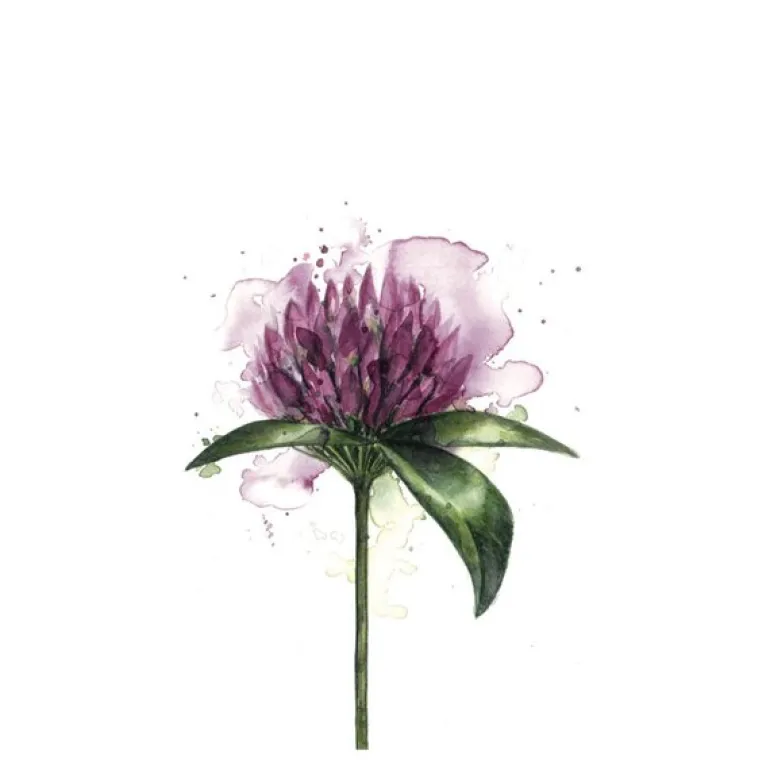 Servietter lunsj 16,5x16,5 cm 20 stk kløverblomst