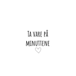 Servietter lunsj 16,5x16,5 cm 20 stk "ta vare på minuttene"