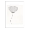The Poster Club x Ana Frois poster 50x70 cm poppy